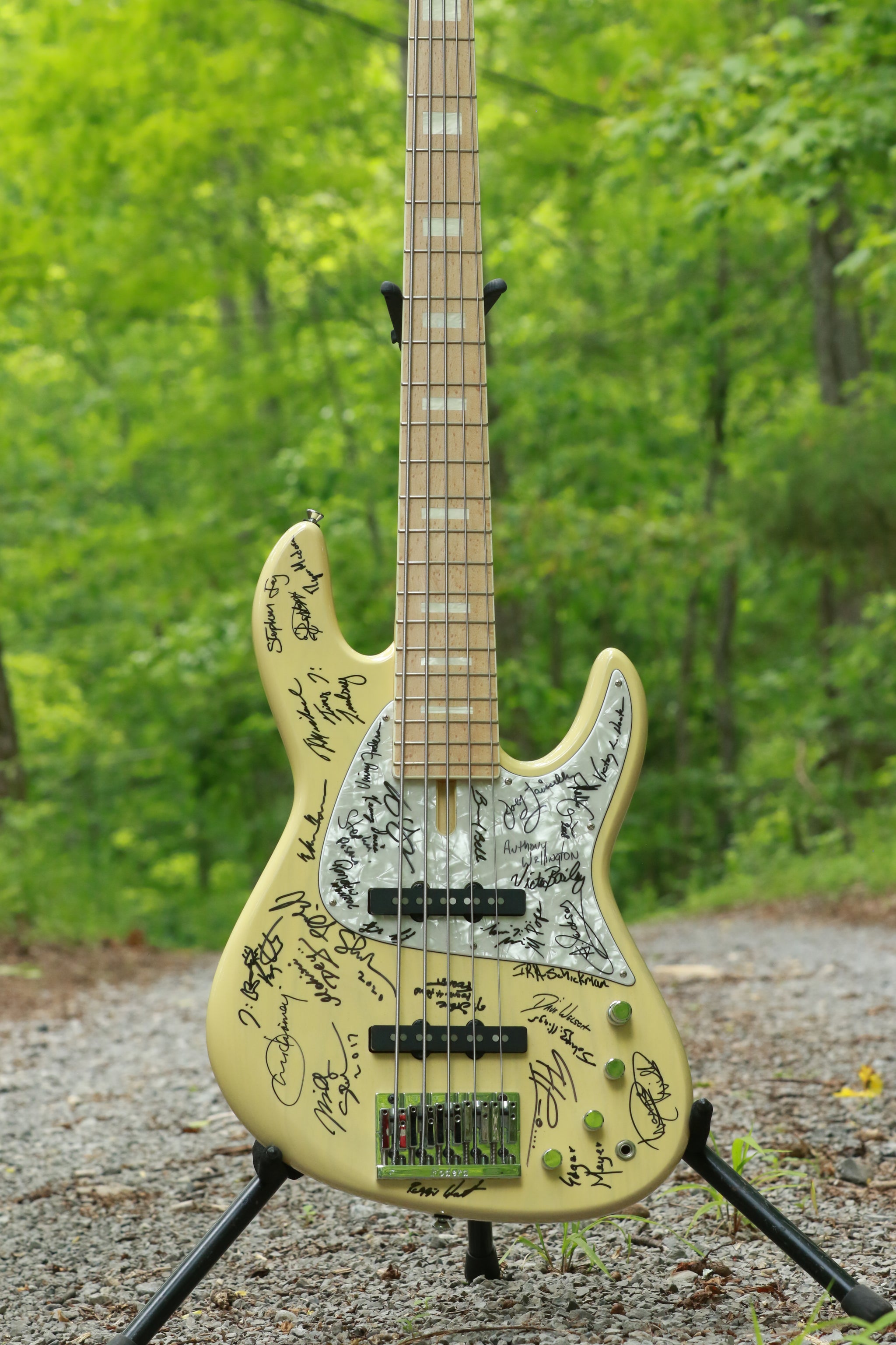 NYC Empire Bass by Fodera from Victor Wootens's Personal