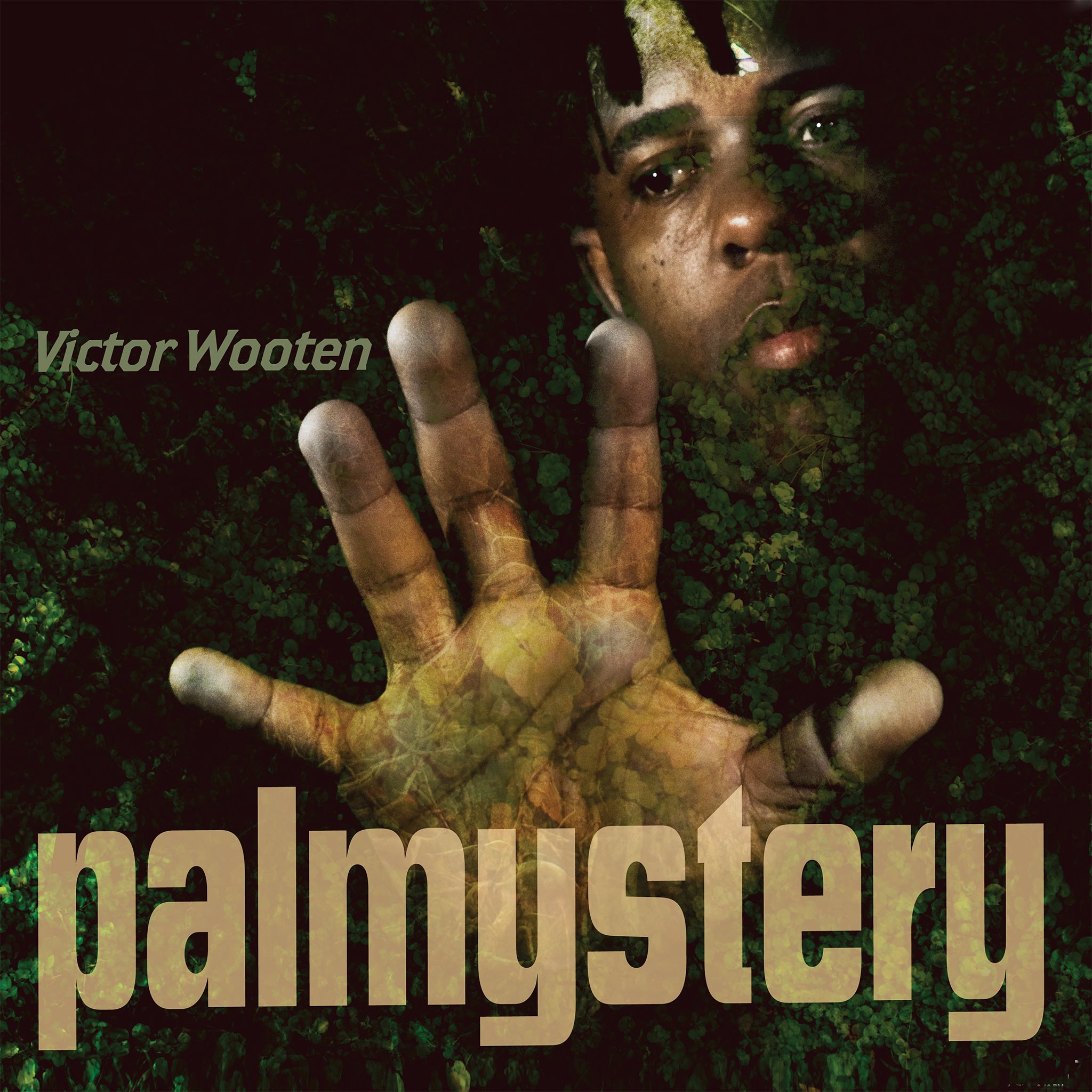 Palmystery