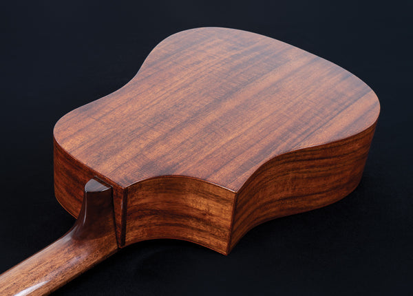Sojourn Port Acoustic Travel Bass